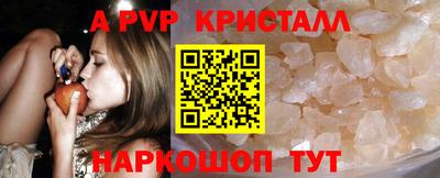 прущие крисы Кингисепп