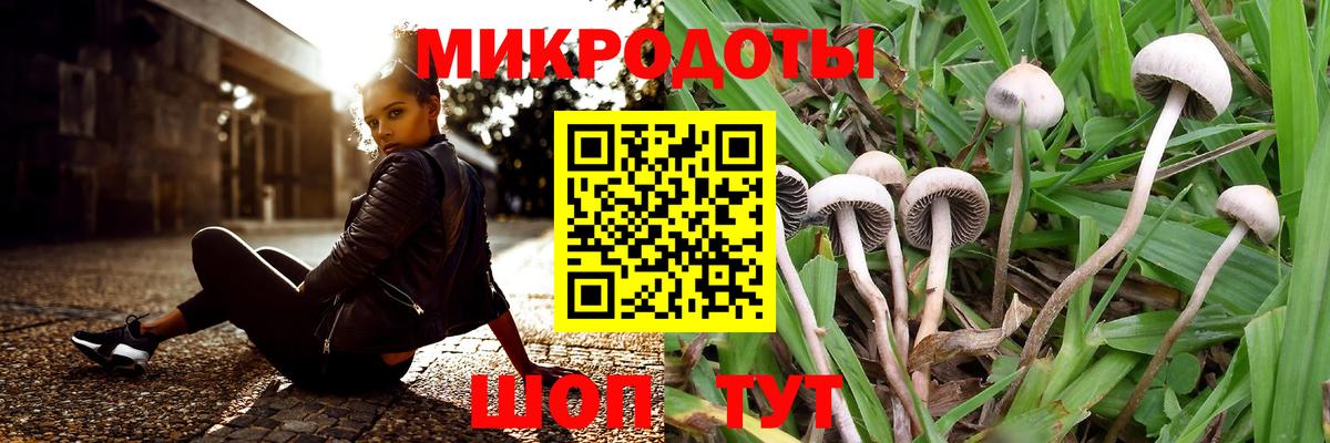 Псилоцибиновые грибы мухоморы  Вход с VPN  Кропоткин 